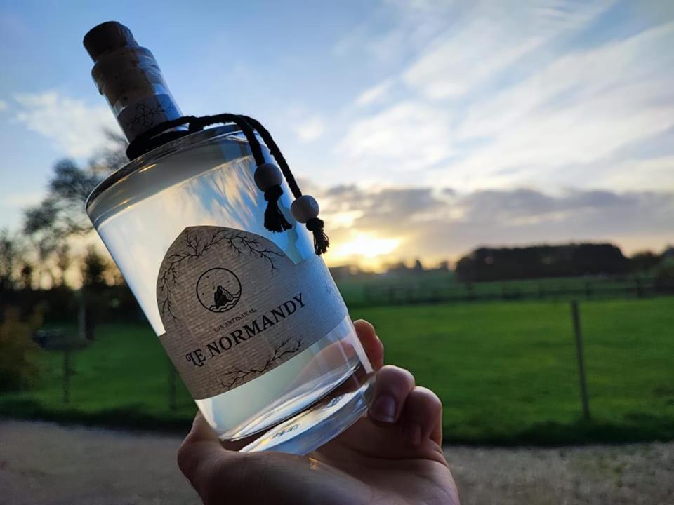 Chambres D'Hotes " Le Clos Des Colimacons " マニーケルヴィル エクステリア 写真